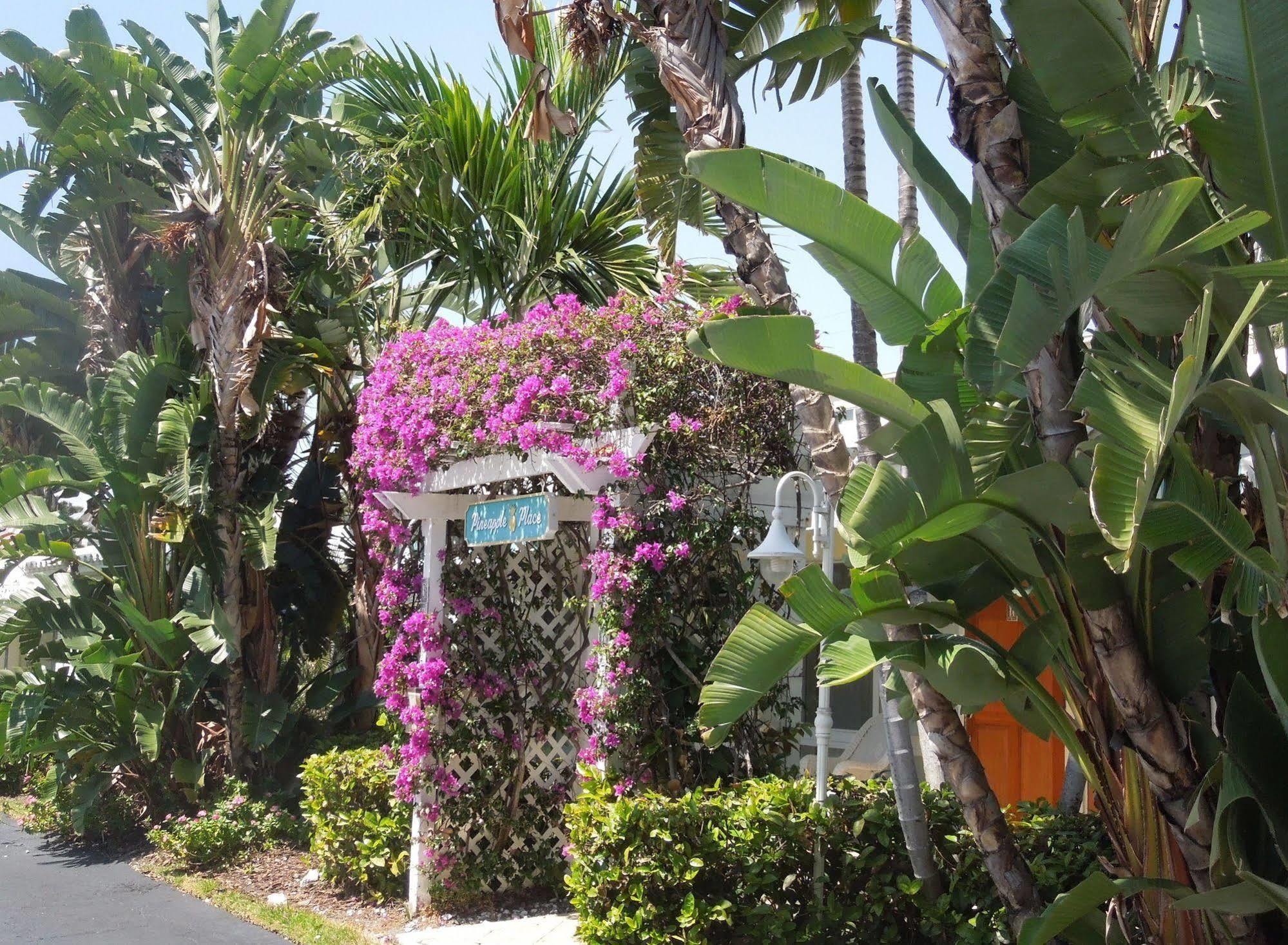 Apartmán Pineapple Place Pompano Beach Exteriér fotografie